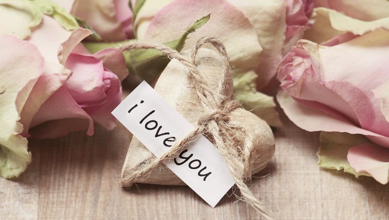 Non cercare l’amore sarà lui a trovare te: Vero o falso?