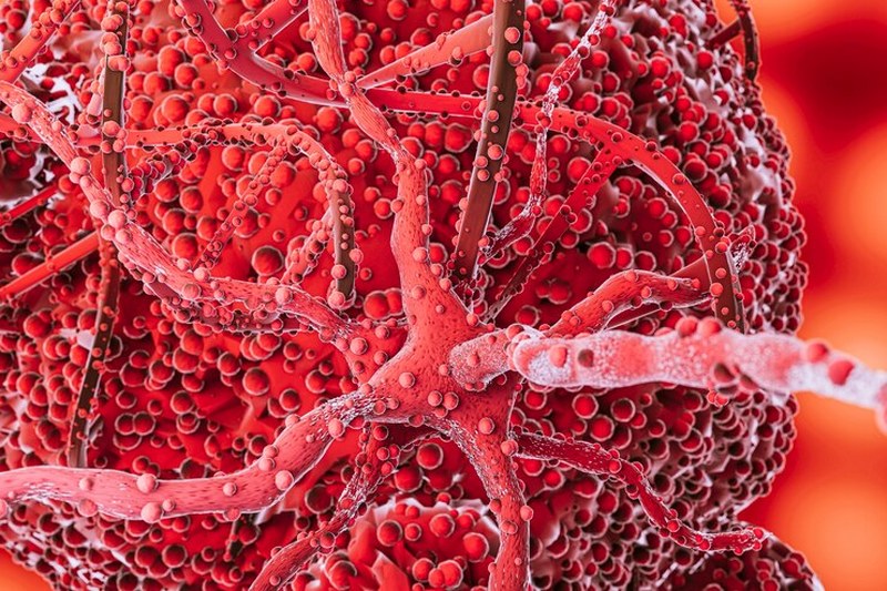 Trigliceridi: Valori Normali di Riferimento per Età